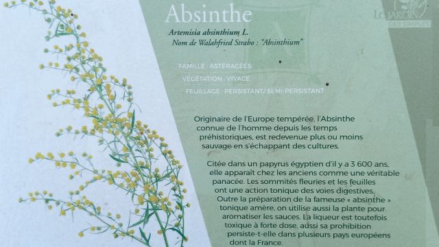 Absinthe