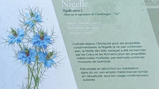 Nigelle