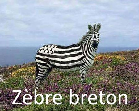 HumourBreton