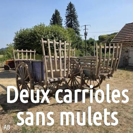 contrepèterie