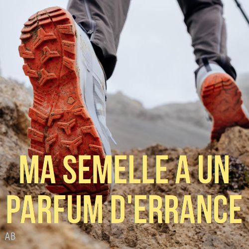 contrepèterie