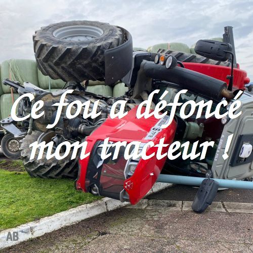 contrepèterie