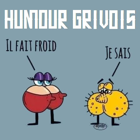 Humour grivois