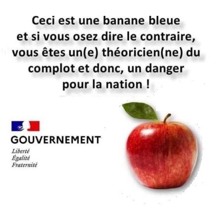 société