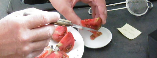 récupérer les graines de tomate