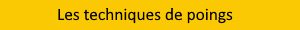 Les techniques de poings