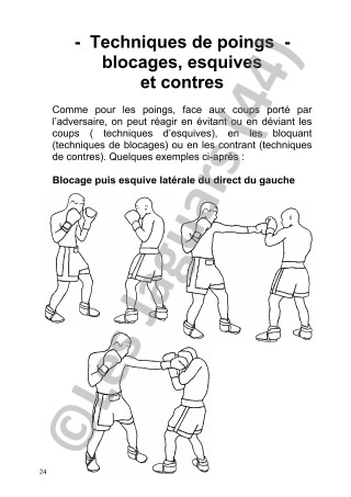 Fascicule 2005 de Kickboxing des Jaguars