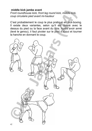 Fascicule 2005 de Kickboxing des Jaguars